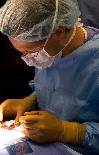 Thorne Surgery